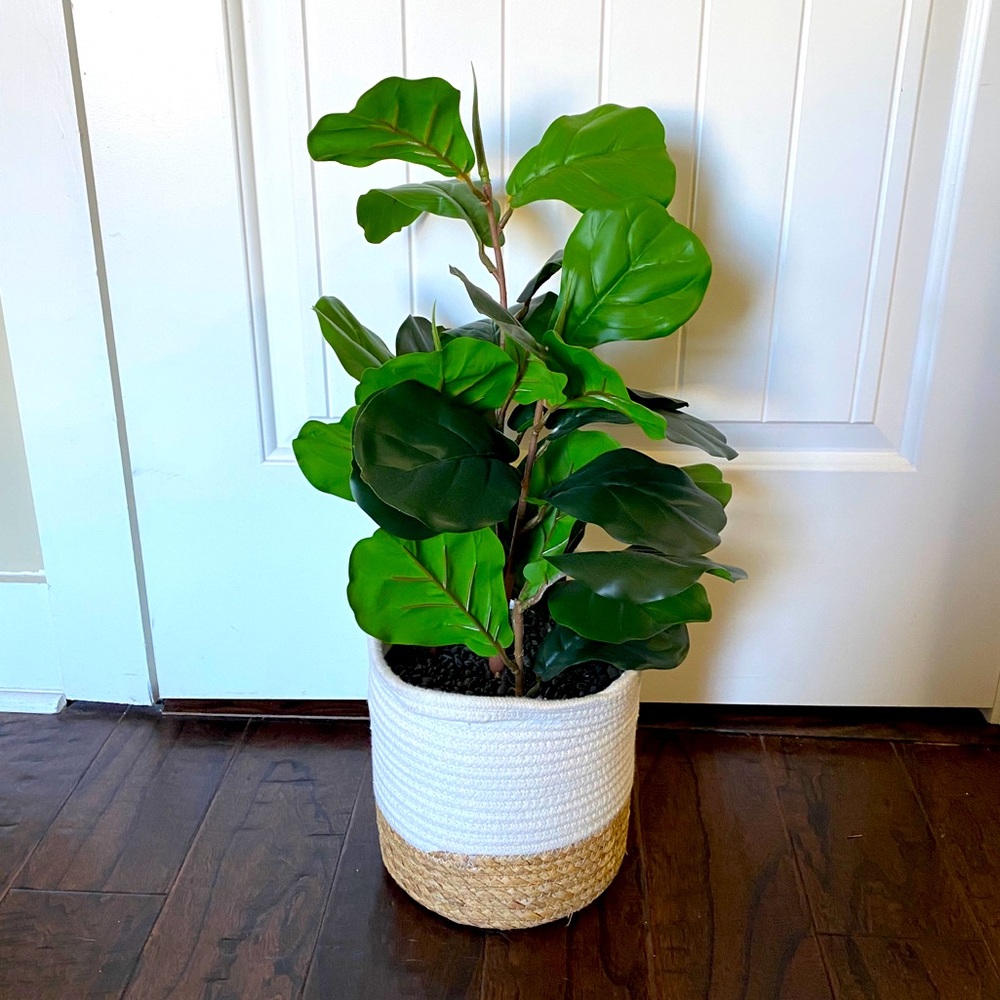 Faux Fiddle Leaf Fig Plant